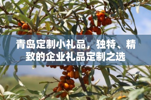 青岛定制小礼品，独特、精致的企业礼品定制之选