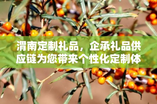 渭南定制礼品，企承礼品供应链为您带来个性化定制体验