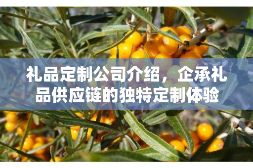礼品定制公司介绍，企承礼品供应链的独特定制体验